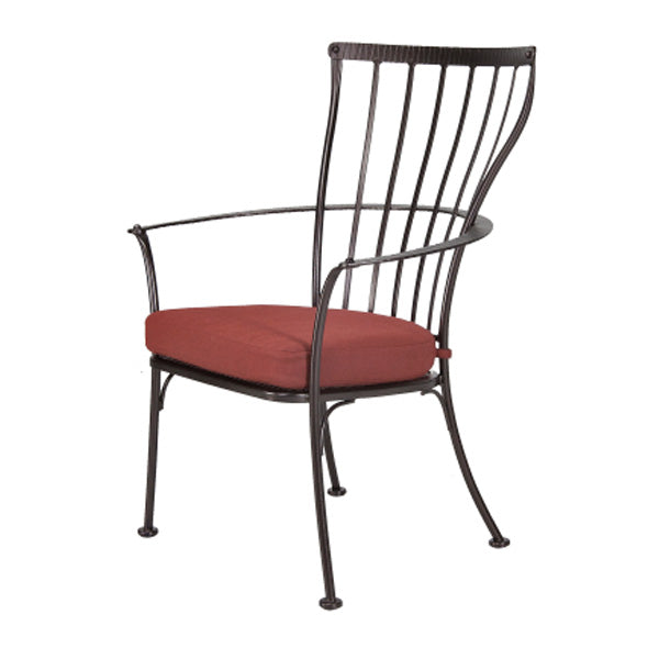 monterra dining arm chair, image 1