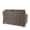 Avallon Loveseat Nurture Charcoal Cushions Back