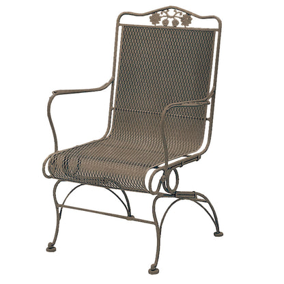 Briarwood High Back Spring Chair Aztec Bronze