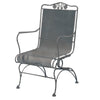 Briarwood High Back Spring Chair Gray Shimmer