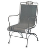 Briarwood High Back Spring Chair Pewter