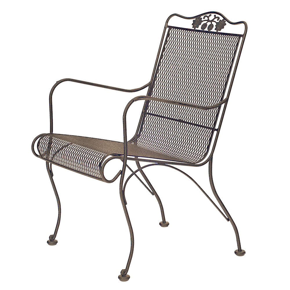 Briarwood Lounge Chair Artic Bronze