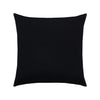 Elaine Smith Pillow 17 Square Canvas Black