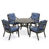 Napili 5 Piece Dining Set 4 Dining Chairs with Venus Cabana Cushions