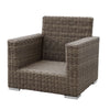 coronado club chair no cushion